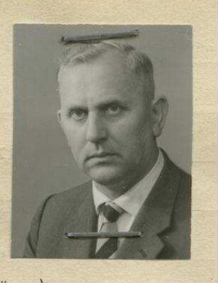 Wilhelm Meister