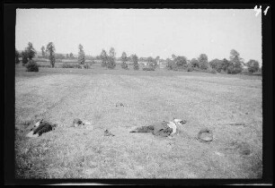 Gélacourt (Dep. Meurthe-et-Moselle, Frankreich): 2 Leichen (erschossene französische Soldaten) nach dem Angriff auf Gélacourt
