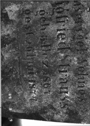 Grabstein 226 (Index: 100100353) Maße HxBxT: 76x44x13 cm Symbolik: Verzierungen, Mohnkapseln Besonderheit: Kindergrab: Grabstein 226B