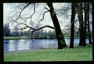 Chlttbg. Schlosspark 30.4.67.