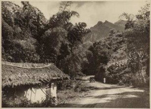 Siedlung (Lateinamerika-Aufenthalte 1928/1942)