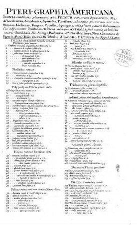 Pteri-Graphia Americana