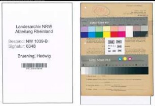 Entnazifizierung Hedwig Bruening , geb. 12.05.1900 (Vertreter)