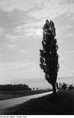 Landschaftsansicht mit Landstraße