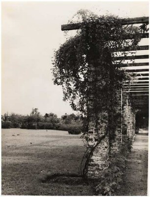 Garten Dr. Tomalla: Pergola
