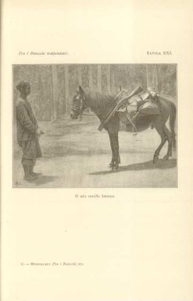 Tavola XXI. Il mio cavallo batacco