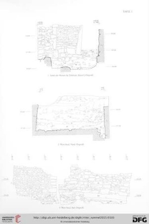 Tafeln I: Befunde (Tafel 1-30)