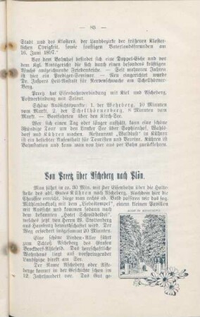 Von Preetz über Ascheberg nach Plön.