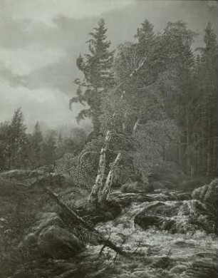 Waldbach im Gebirge : Dahl, Johan Christian Claussen. Waldbach im Gebirge. Verwalter: Staatliche Kunstsammlungen Dresden (SKD), 2206