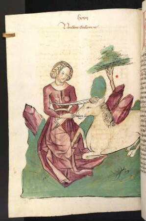 Das Einhorn