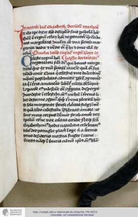 Henricus de Langenstein, Homiliae de S. Elisabeth