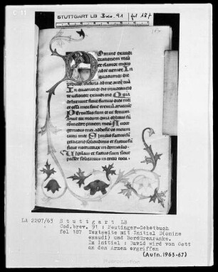 Gebetbuch des Konrad Peutinger — Initiale D (omine exaudi), darin David vor Gott, Folio 187recto
