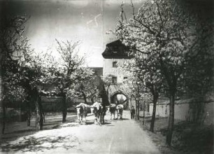Frohburg, Florian-Geyer-Straße 4/6. Rittergut (18./19. Jh.). Torhaus (Taubenturm). Feldseite mit Ochsengespann
