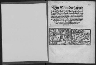 Ein Wunnderbarlich gantz Warhaft geschicht, so geschehen ist in dem Schweytzerlandt, bey ainer Statt hayst Willisow, drey Meyl von Lutzern, von Dreyen Gesellen die mitainander gespilt habend, da der Teüffel den ainen, den andern zweyen Angesicht jrer Augen genommen vnnd hinweg getragen hat. Vnder den andern zweyen habend die Leüß den ainen zu todt gebissen. Der drit ist mit dem schwerdt ... gericht worden ...