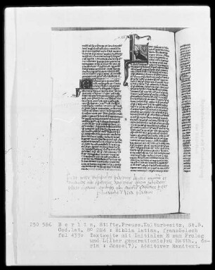 Biblia latina — Initiale L (iber generationis), darin Jesse?, Folio 433verso