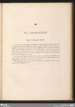 XVI. Jahrhundert