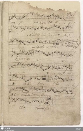 [118.] Missa Damaurs / Crecquillon, T.