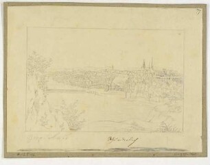 Stadtansicht von Zwickau über der Mulde mit einem Wehr