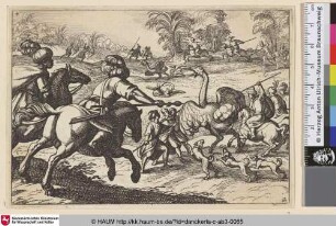 [Gruppe von Jägern macht Jagd auf Strausse]