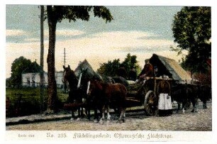 Serie Nr. 16/1 Nr. 233: Flüchtlingselend: Ostpreußische Flüchtlinge