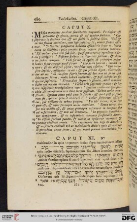 (Caput XI - XII)