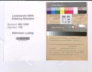 Entnazifizierung Ludwig Mehrmann , geb. 06.05.1897 (Angestellter)