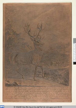 Diser Hirsch von 24 Enden - der König genannt, ist 1760 gefangen worden