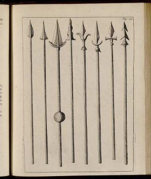 Pag. 179.