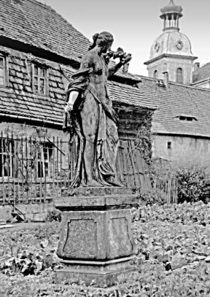 Röhrsdorf, Schloss, Flora vor der Orangerie