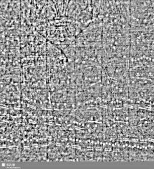 Lilienschild + IESV / LW = S.5/6