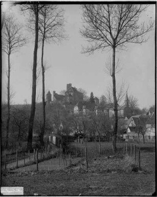 Neidenstein Burg Neidenstein Ansicht von Osten