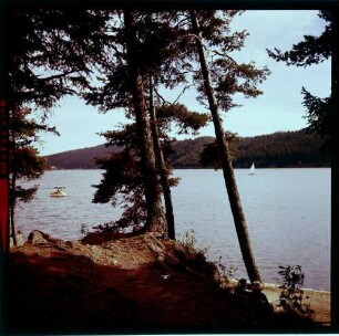 Schluchsee: Parkanlage am Campingplatz, Vordergrund Wald