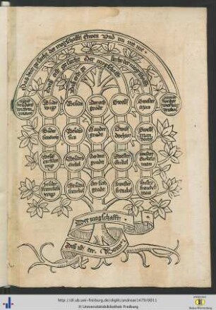 Arbor affinitatis.