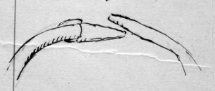 Armring mit Enden, wie die Skizze zeigt. Scheint ein Tierkopf gewesen zu sein.