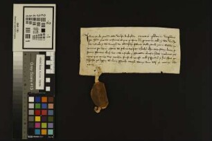 Mainz (Mariengreden): Jud. Mog. monast. plebanos .... collect .... mosinorum