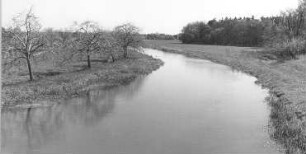 Zweibrücken. Schöps mit Blick auf die Mühle