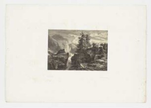 Landschaft mit Gebirgsbach und Tannen, Blatt 41 der Folge "Werke"