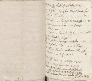 Ausgaben von Karoline Luises Hand.