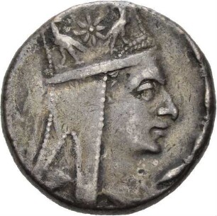 Armenien: Tigranes II.