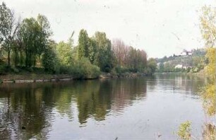 Marbach, Altarm vom Kraftwerk, flussabwärts