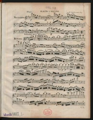 Flauto ô violino