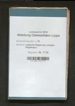 Anstellung der Beamten der Stadt Lage (Ortsstatut)