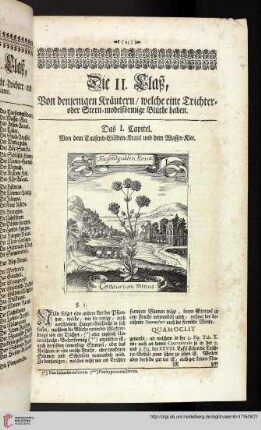 Die II. Claß