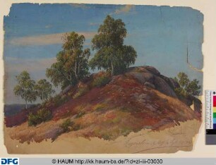 Landschaft bei Burg Regenstein