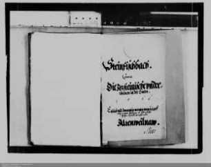 Rechtsstreitigkeiten der Gemeinde Steinfischbach mit Nassau-Wiesbaden bzw. Nassau-Idstein