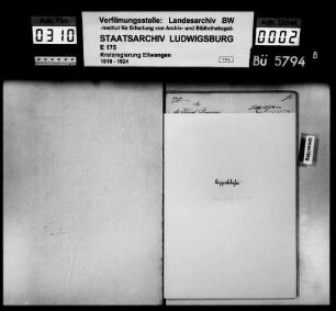 Auswanderungen, Ruppertshofen mit Teilgemeinden Hessenau und Leofels