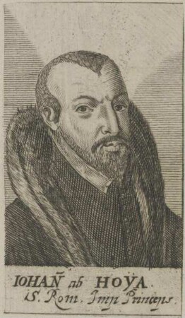 Bildnis des Johann ab Hoya