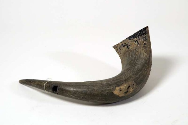 Horn