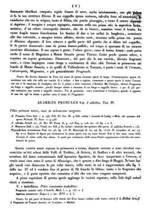 Agaricus Prunulus Var. β albellus. Tav. IV.