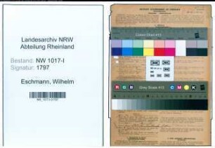Entnazifizierung Wilhelm Eschmann , geb. 29.10.1898 (Telegrafenwerkfuehrer)